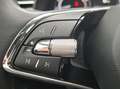 Skoda Scala Clever 1.0 TSI Klimaauto SHZ PDC Bleu - thumbnail 17