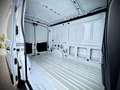 Ford Transit Transit Kasten 350 L2H2 Trend 2,0 EcoBlue 130PS... Weiß - thumbnail 14