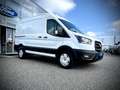 Ford Transit Transit Kasten 350 L2H2 Trend 2,0 EcoBlue 130PS... Weiß - thumbnail 5