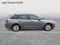 Skoda Octavia Essence TSI Grau - thumbnail 6