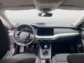 Skoda Octavia Essence TSI Grau - thumbnail 12