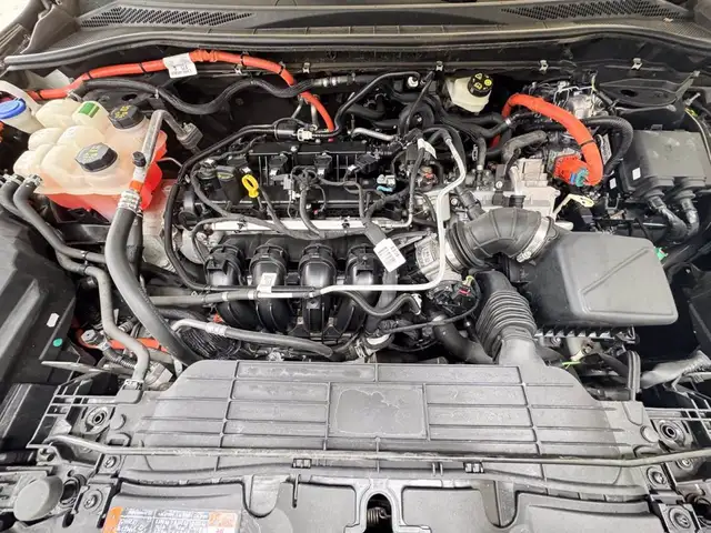 Ford Kuga view 11