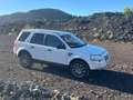 Land Rover Freelander 2.2Td4 XS Blanco Blanco - thumbnail 15