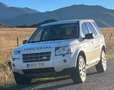 Land Rover Freelander 2.2Td4 XS Blanco Blanco - thumbnail 10