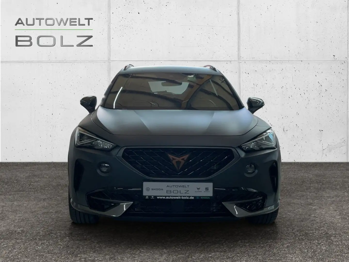 CUPRA Formentor 2.0 TSI AHK Navi LederCup Brembo ACC S Grau - 2