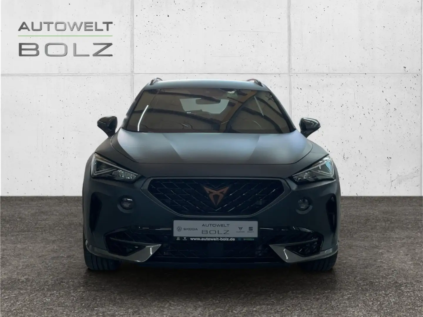 CUPRA Formentor 2.0 TSI AHK Navi LederCup Brembo ACC Soundsystem Grau - 2