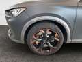 CUPRA Formentor 2.0 TSI AHK Navi LederCup Brembo ACC S Grau - thumbnail 21