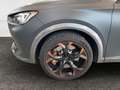 CUPRA Formentor 2.0 TSI AHK Navi LederCup Brembo ACC Soundsystem Grau - thumbnail 21