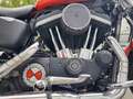Harley-Davidson Sportster 883 883R Orange - thumbnail 9
