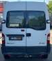 Renault Master II Phase 2 Kasten L2H2*AUTOM.*100 TKM*AHK Weiß - thumbnail 4