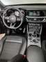 Alfa Romeo Stelvio 2.2d 190cv AT8 Q4 Sprint  Navi+Camera + Palette Schwarz - thumbnail 16