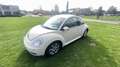 Volkswagen Beetle Beige - thumbnail 3