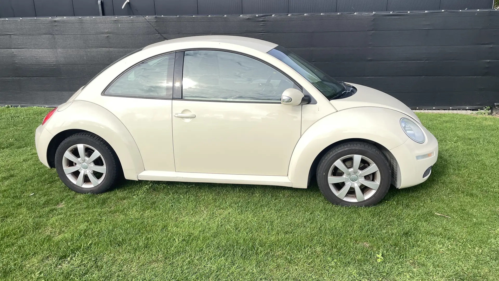 Volkswagen Beetle Beige - 1