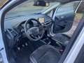 Ford EcoSport 1.0 ST-LINE EcoBoost Titanium Navi Camera Jante Blanc - thumbnail 14