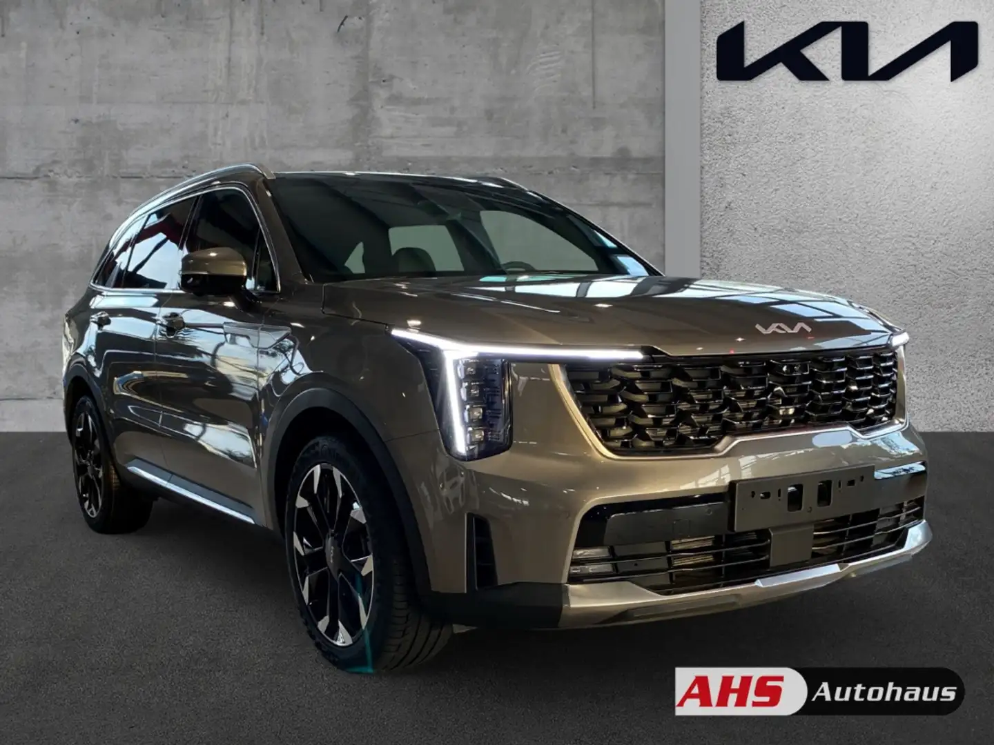 Kia Sorento Platinum 4WD 2.2 CRDi EU6d 7-Sitzer Pano Dach Prem Beige - 2