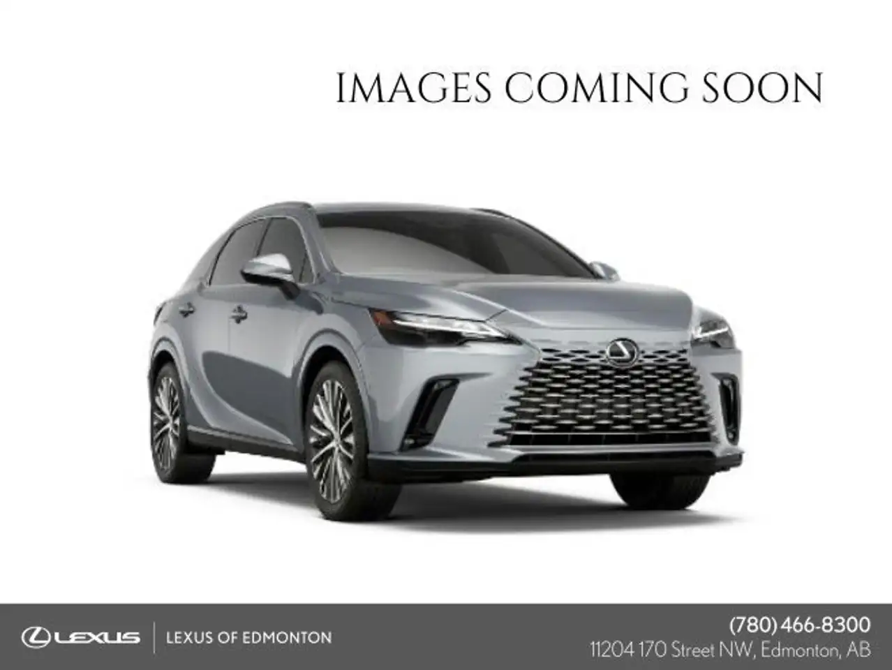 2024 Lexus RX