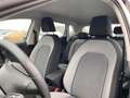 SEAT Ibiza 1.0 TSI Style Klima Navi Sitzheizung DAB Bianco - thumbnail 11