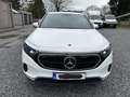 Mercedes-Benz EQA 250 progressive line - premie geldig €3000! Blanc - thumbnail 1