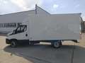 Iveco Daily Daily Furgón 35C14 V 3520 H2 10.8 136 Blanco - thumbnail 4