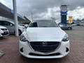 Mazda 2 Prime-Line 1.5l SKYACTIV-G Start/Stop Klima EU6 White - thumbnail 2
