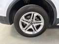 Audi Q5 40 TDI quattro-ultra S tronic 150kW Blanco - thumbnail 34