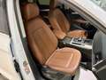 Audi Q5 40 TDI quattro-ultra S tronic 150kW Blanco - thumbnail 14