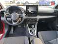 Toyota Yaris 116h Dynamic 5p MY22 Rouge - thumbnail 17