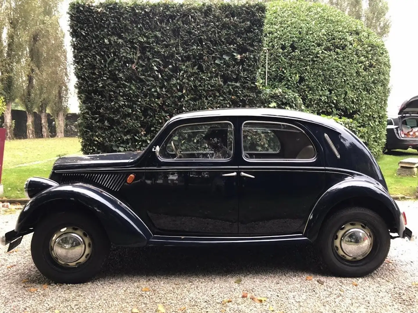 Lancia ARDEA Azul - 1