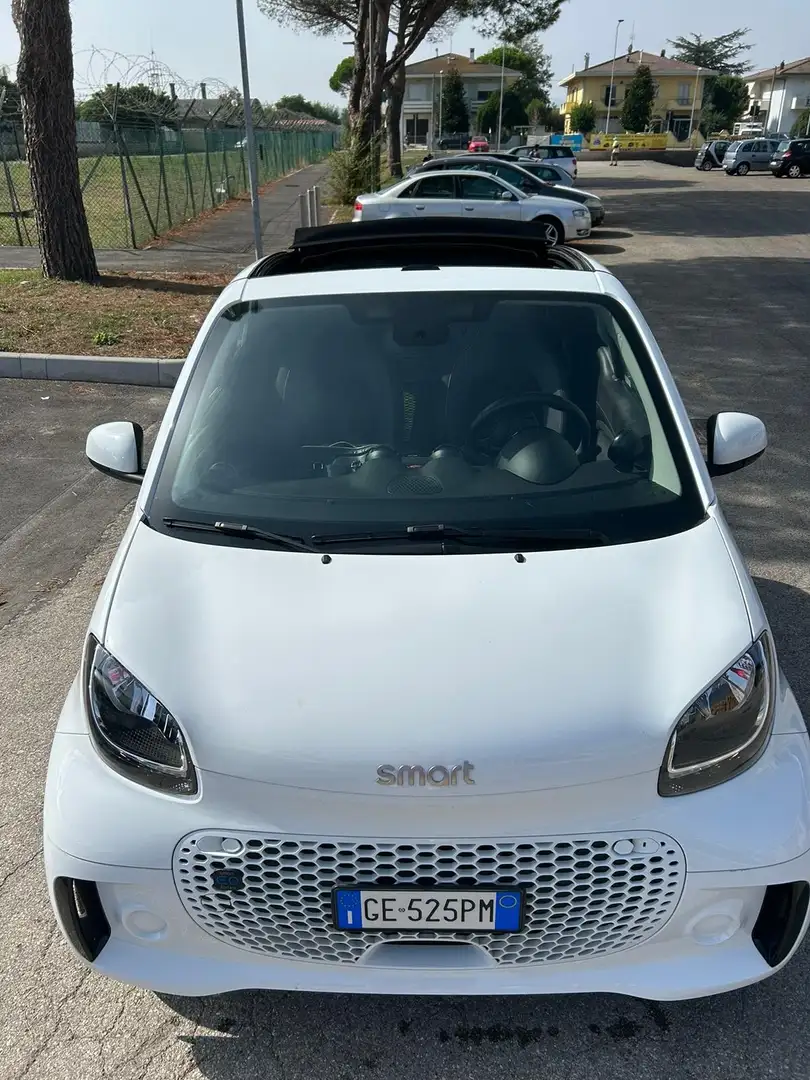 smart forTwo Fortwo III 2020 Cabrio Cabrio eq Pulse 22kW Bianco - 2