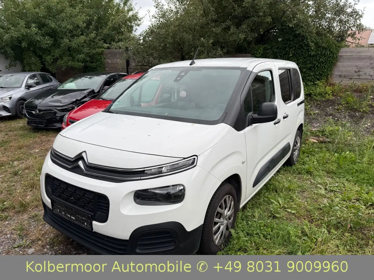 Citroen Berlingo Live M NAVI|KLIMA| Weiß - 1
