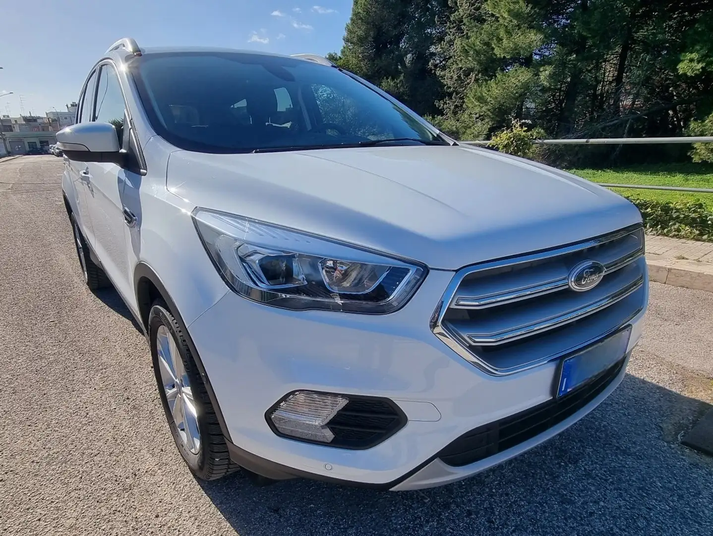 Ford Kuga 1.5 tdci Edition Sport s&s 2wd 120cv powershift Wit - 2