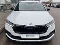 Skoda Octavia Combi iV 1.4 TSI DSG SPORTLINE 18"+NAVI- Weiß - thumbnail 7