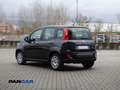 Fiat Panda 1.0 firefly hybrid s Schwarz - thumbnail 5