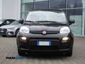 Fiat Panda 1.0 firefly hybrid s Schwarz - thumbnail 2