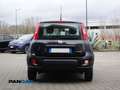 Fiat Panda 1.0 firefly hybrid s Schwarz - thumbnail 6