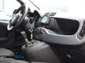 Fiat Panda 1.0 firefly hybrid s Schwarz - thumbnail 14