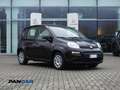 Fiat Panda 1.0 firefly hybrid s Schwarz - thumbnail 1