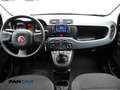 Fiat Panda 1.0 firefly hybrid s Schwarz - thumbnail 12