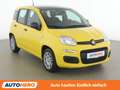 Fiat Panda 1.0 Mild-Hybrid Pandina Icon Gelb - thumbnail 8