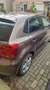 Volkswagen Polo Polo 1.2-12V Comfortline Bruin - thumbnail 3