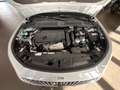 Peugeot 408 Hybrid 225 GT e-EAT8 Blanco - thumbnail 22