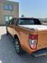 Ford Ranger Doppelkabine Wildtrak 4x4 3,2 TDCi - thumbnail 11