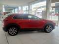 Mazda CX-30 2.0 e-Skyactiv-G Exclusive Line Plus FWD 110kW - thumbnail 10