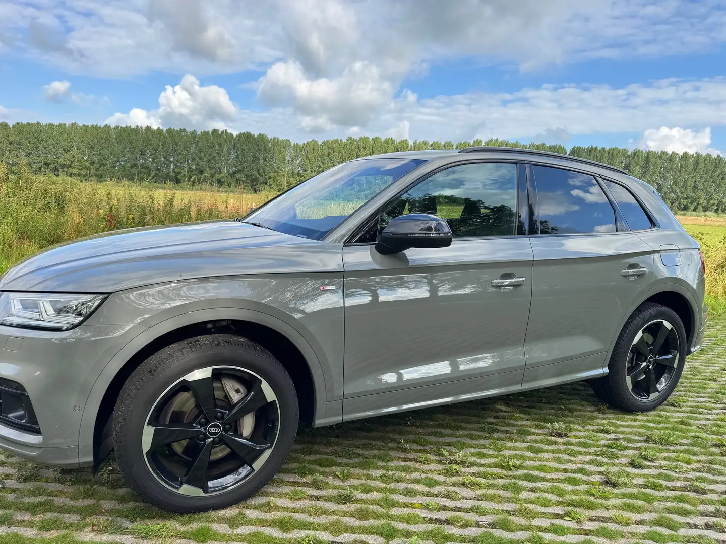 Audi Q5 Q5 q. S edit. Gri - 1