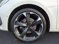 CUPRA Leon Sportstourer 2.0 TDI DSG Weiß - thumbnail 11