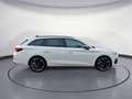 CUPRA Leon Sportstourer 2.0 TDI DSG Weiß - thumbnail 6