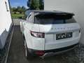 Land Rover Range Rover Evoque Prestige 2,2 TD4 Aut. - thumbnail 3