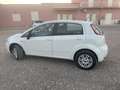 Fiat Punto Evo 5p 1.4 natural power MyLife 70cv - thumbnail 2