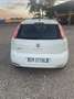 Fiat Punto Evo 5p 1.4 natural power MyLife 70cv - thumbnail 3