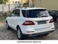 Mercedes-Benz ML 350 CDI BlueTec/TüvNeu/AHK/360*CAM/H&K/ILS/E6 Weiß - thumbnail 5